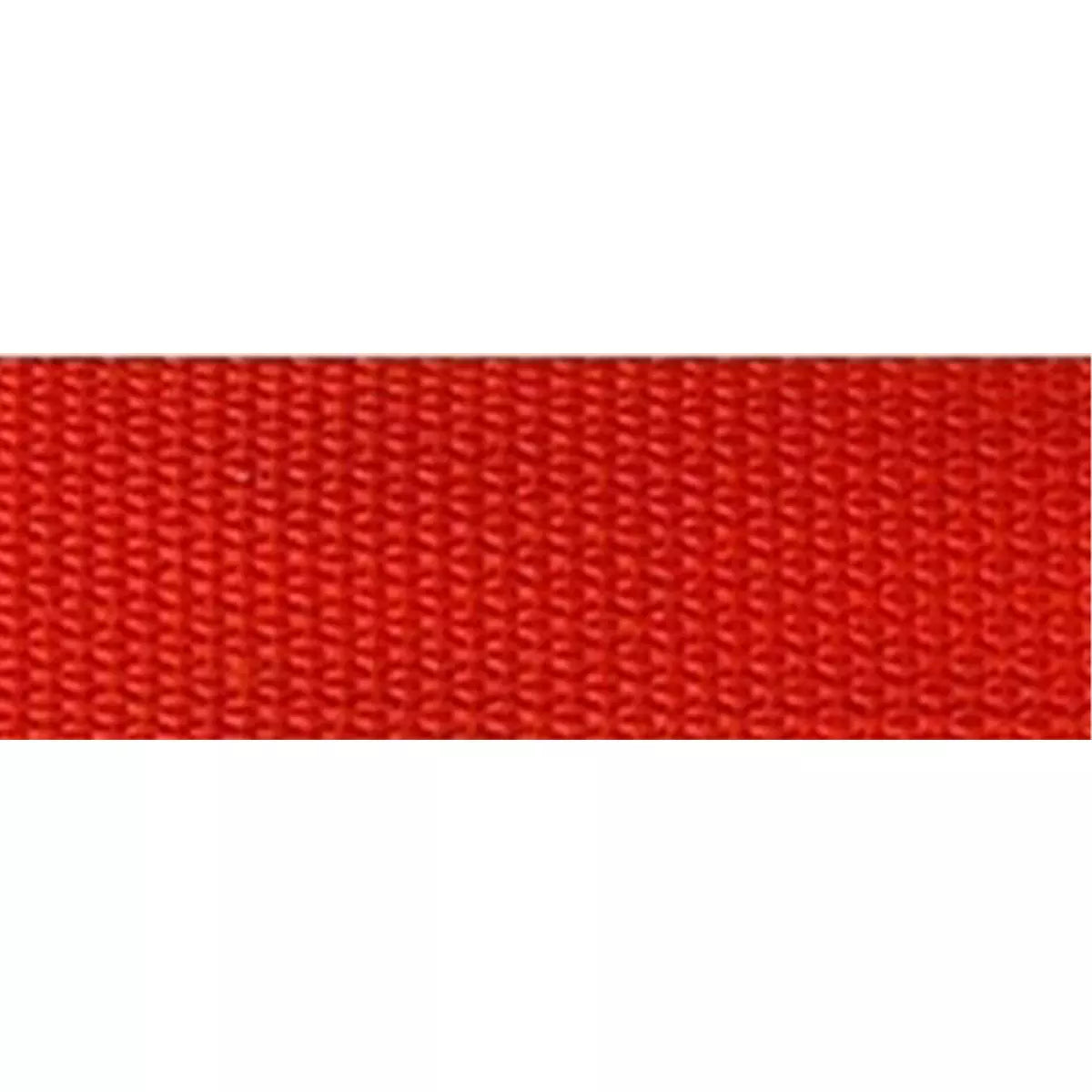 Red Polypro Webbing 1" Wide