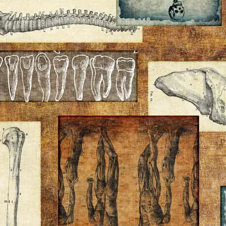 True Detective Anatomy crime science quilting fabric by QT Fabrics