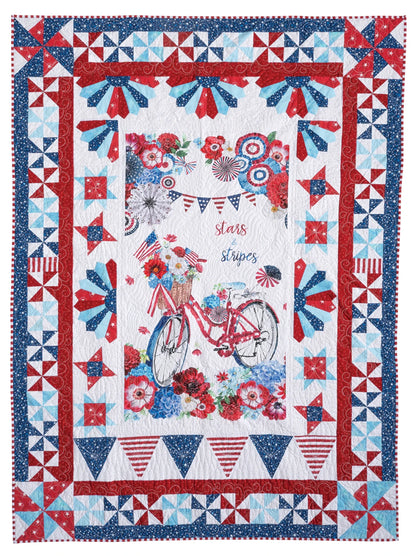 Quilt Panel Magic panel quilt example with border fabrics