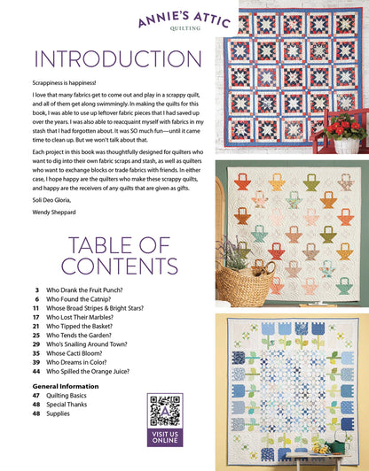 Scrap Quilting With Wendy Sheppard - image 3 - quilting supply from Quilted Joy