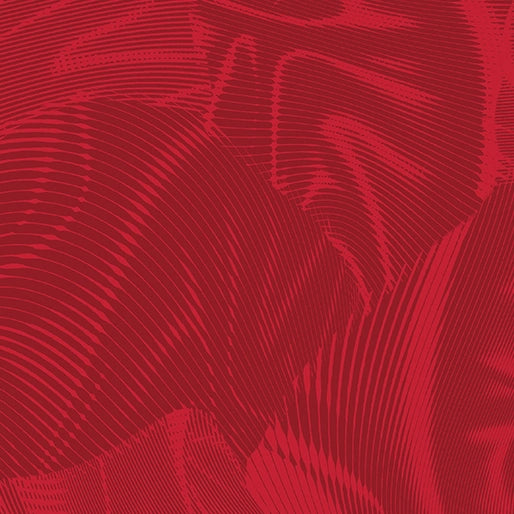 Echo Red Fabric Yardage - quilt fabric for sewing and quilting projects