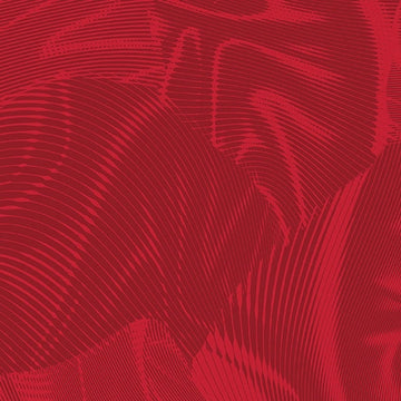 Echo Red Fabric Yardage - quilt fabric for sewing and quilting projects