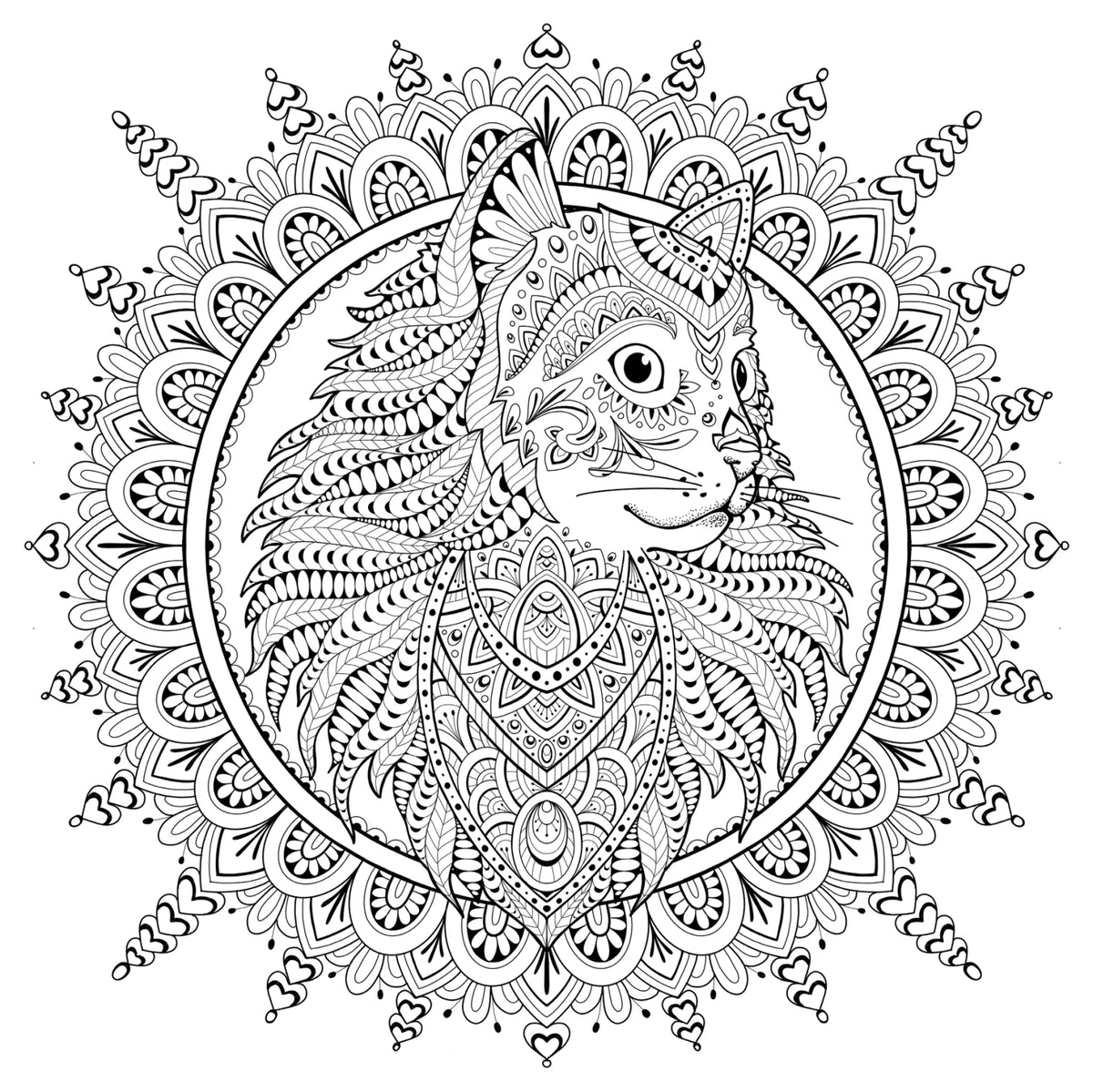 My Cat Mandala coloring book cat mandala detail