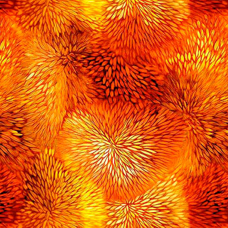 Color Burst, burnt orange, by QT Fabrics