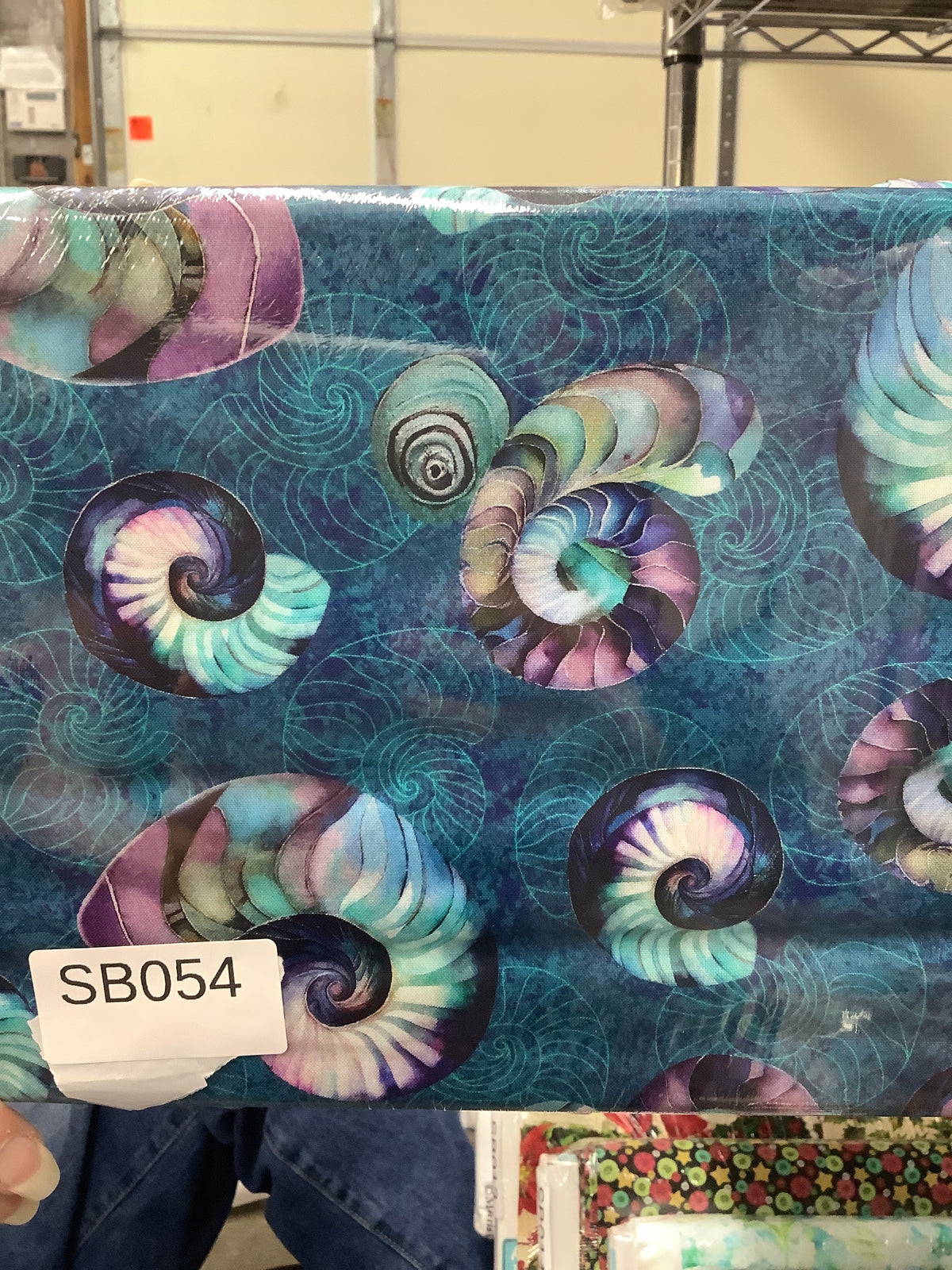 Seashell Soiree Small Shell Toss quilting fabric short bolt 3.5 yards