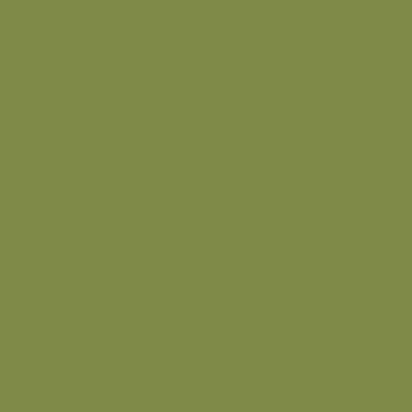 Colorplay Olive Solid Dye Organic Fabric Yardage - quilt fabric for sewing and quilting projects