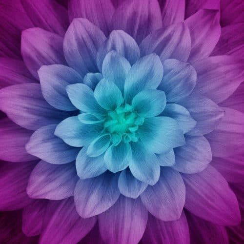 Aurora Dream Big Flower Panel