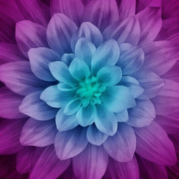 Aurora Dream Big Flower Panel