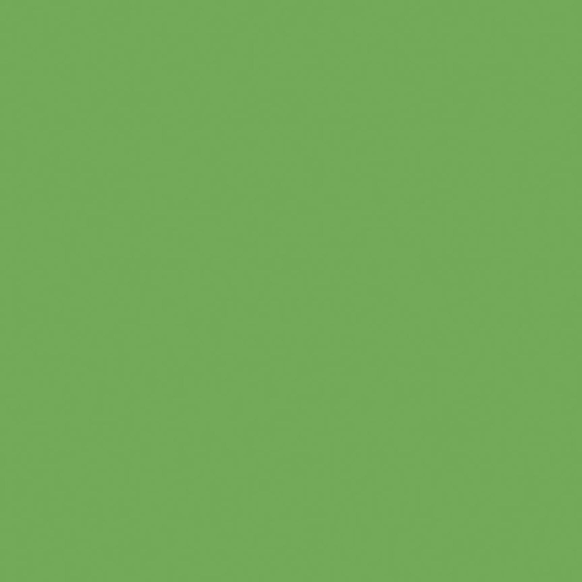 The image is filled with a solid Riley Blake Confetti Cotton™ Riley Green shade, showing no patterns or textures—just pure, unbroken color from the Confetti Cotton™ Riley Green Solid Fabric Yardage.