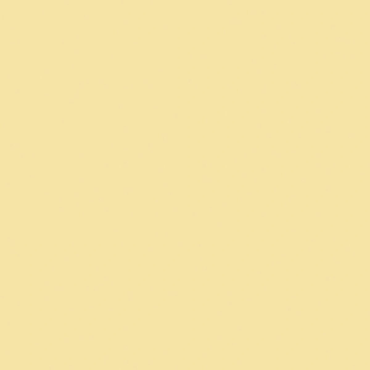 A blank, solid light beige background inspired by Riley Blake's Confetti Cotton™ Sunshine Solid Fabric Yardage, featuring no visible patterns, objects, or text.