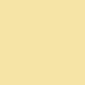 A blank, solid light beige background inspired by Riley Blake's Confetti Cotton™ Sunshine Solid Fabric Yardage, featuring no visible patterns, objects, or text.