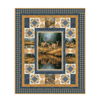 Hidden Allure Quilt Kit