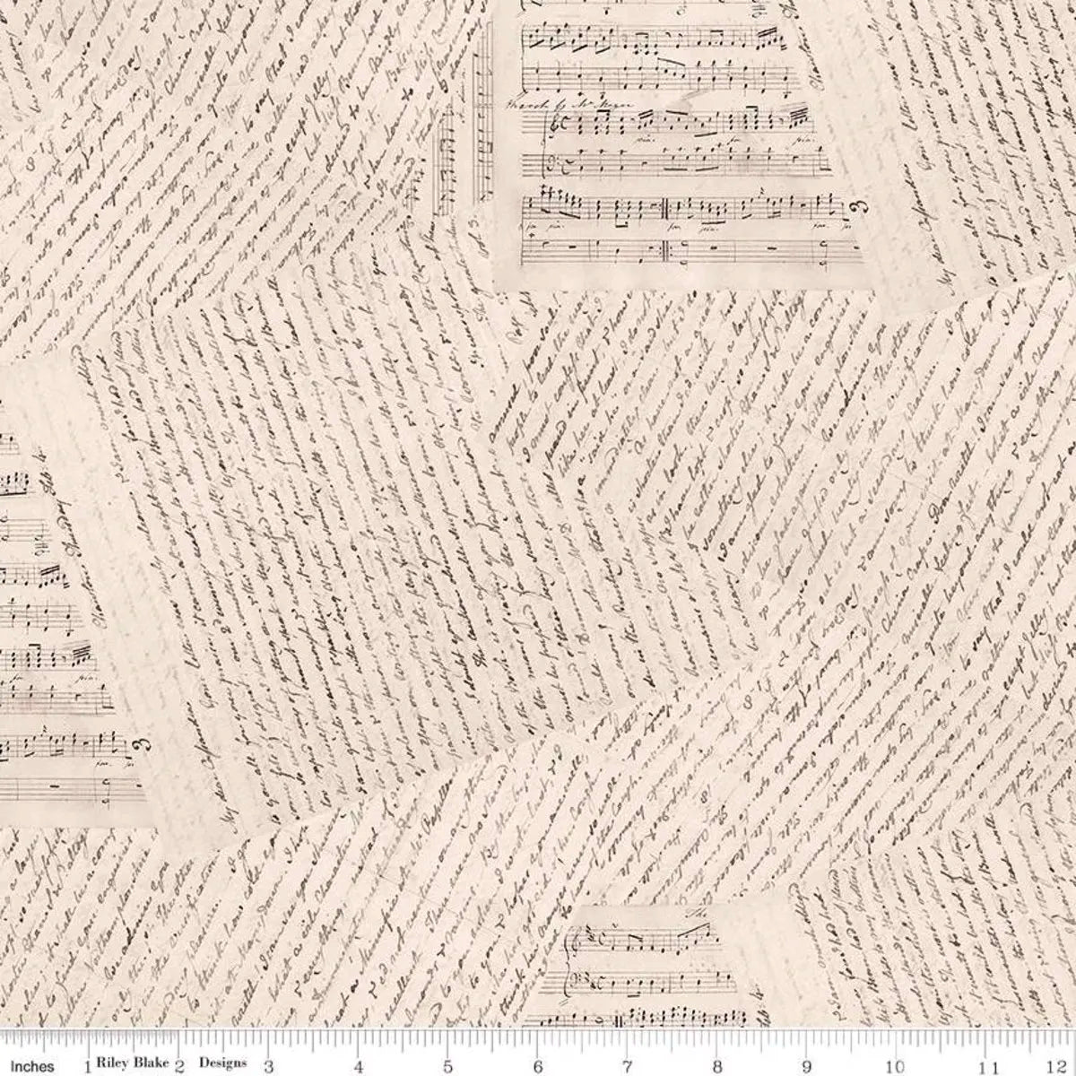 Jane Austen at Home Accomplished Woman 108" Wide Quilt Backing Fabric