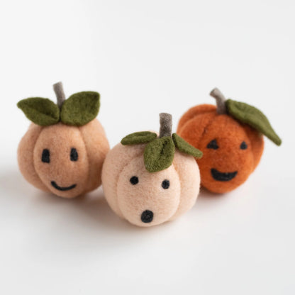 Pumpkin Friends Needle Felting Kit