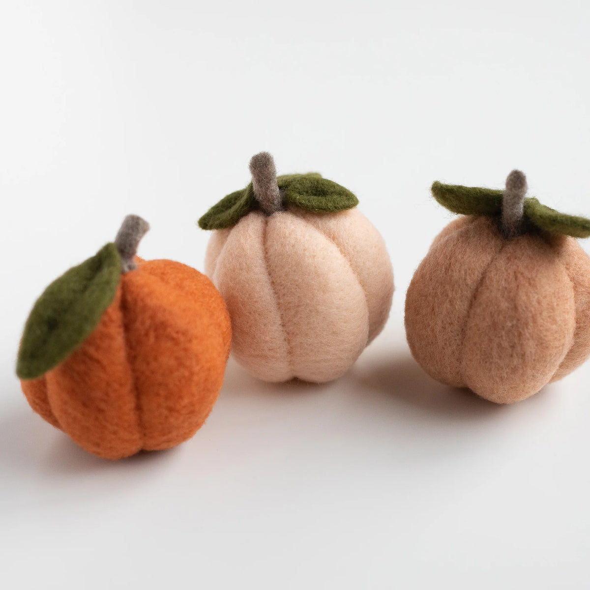 Pumpkin Friends Needle Felting Kit